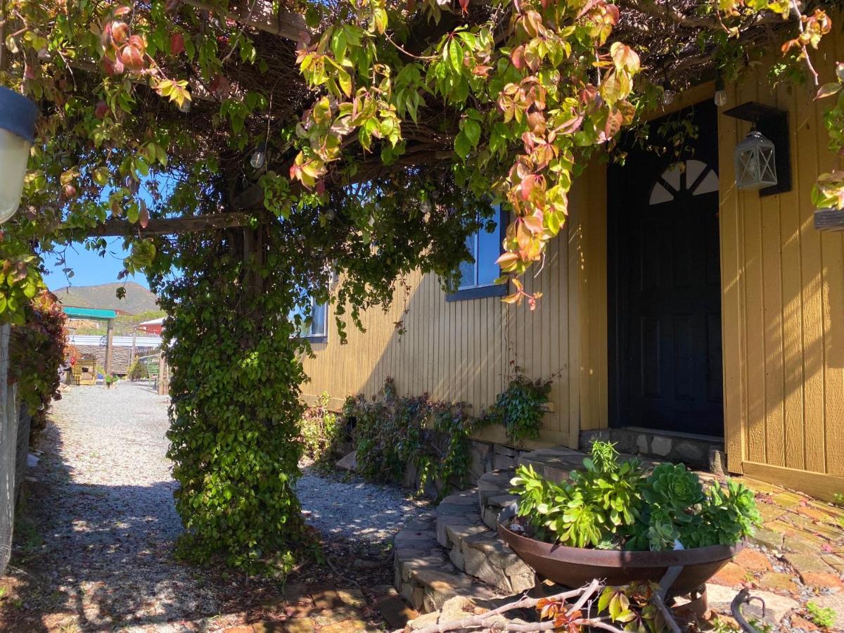 Posada San Antonio Valle de Guadalupe Kültér fotó
